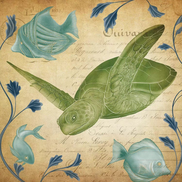 Fragment of Sea Life by 5by5collective wall art