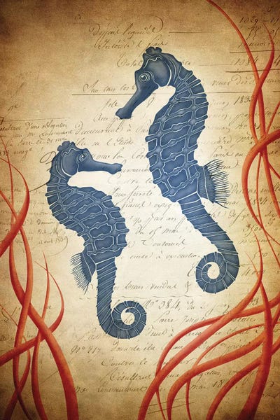 Seahorses: Love Under The Sea by 5by5collective