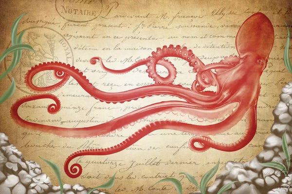 Octopi: Reappearance of Eight-Foot by 5by5collective