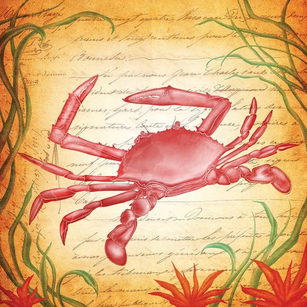 Crabs: The Component of Protection by 5by5collective