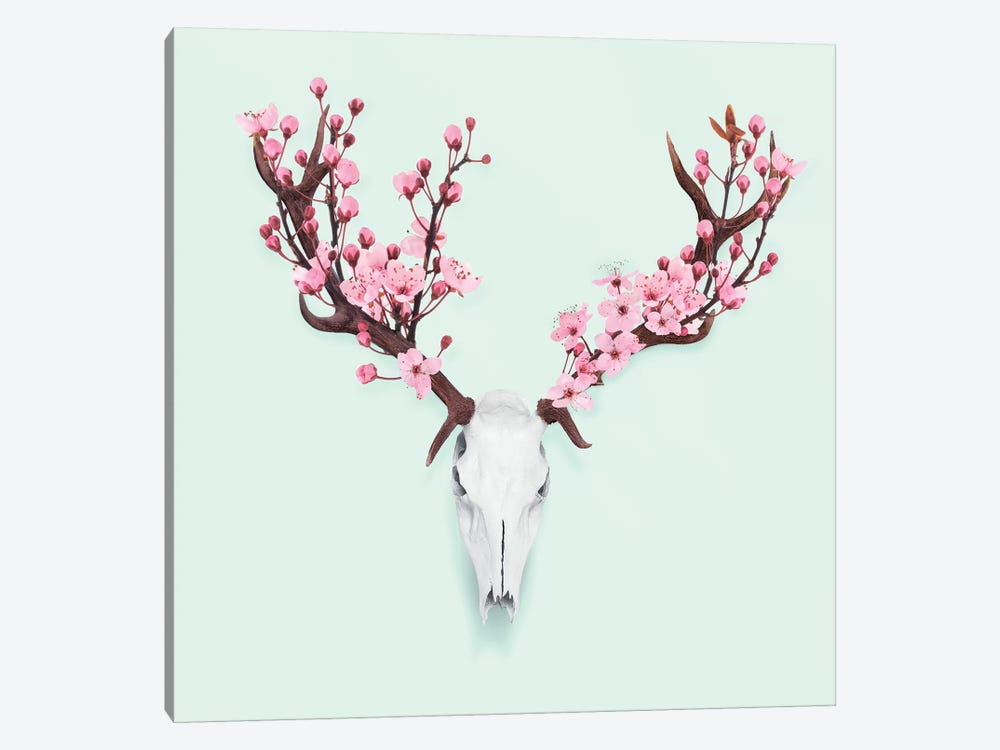 Cherry Blossom Skull by Paul Fuentes 1-piece Canvas Artwork