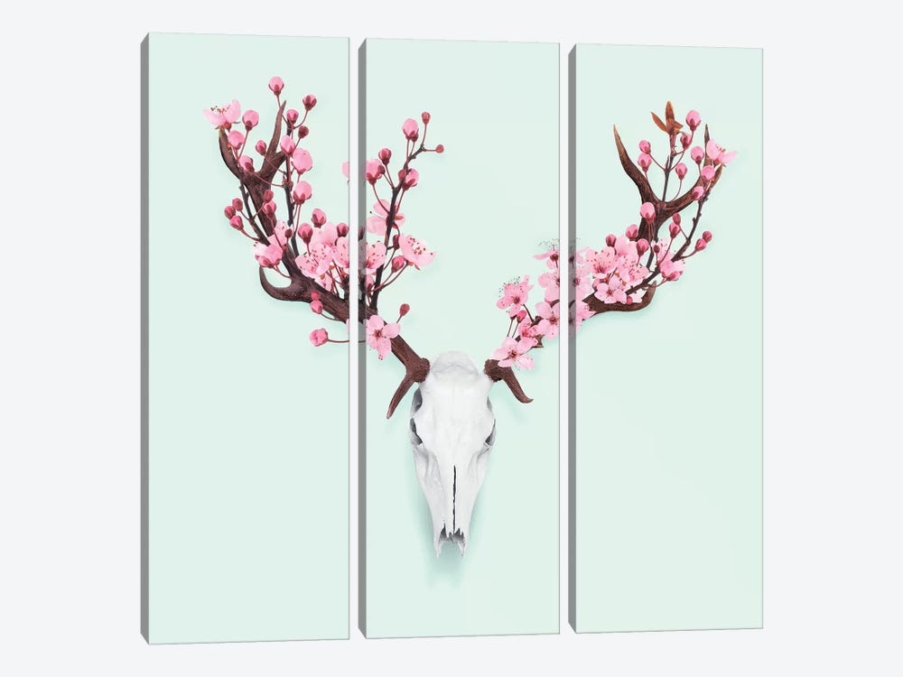 Cherry Blossom Skull by Paul Fuentes 3-piece Canvas Artwork