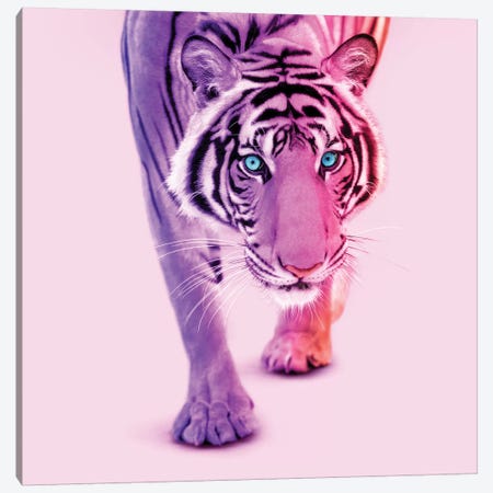 Color Tiger Canvas Print #PFU11} by Paul Fuentes Canvas Art Print