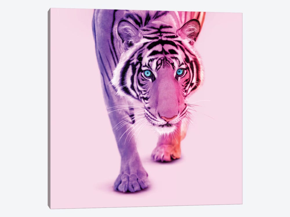Color Tiger by Paul Fuentes 1-piece Canvas Print