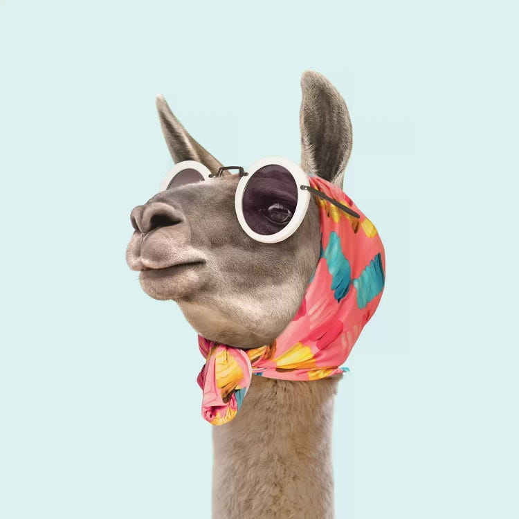 Fashion Llama