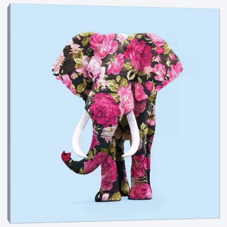 Floral Elephant Canvas Print #PFU13} by Paul Fuentes Canvas Art Print