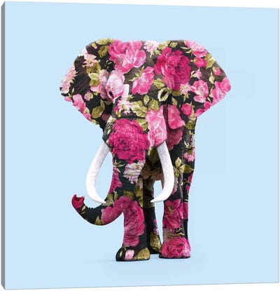 Floral Elephant Canvas Art Print - Paul Fuentes