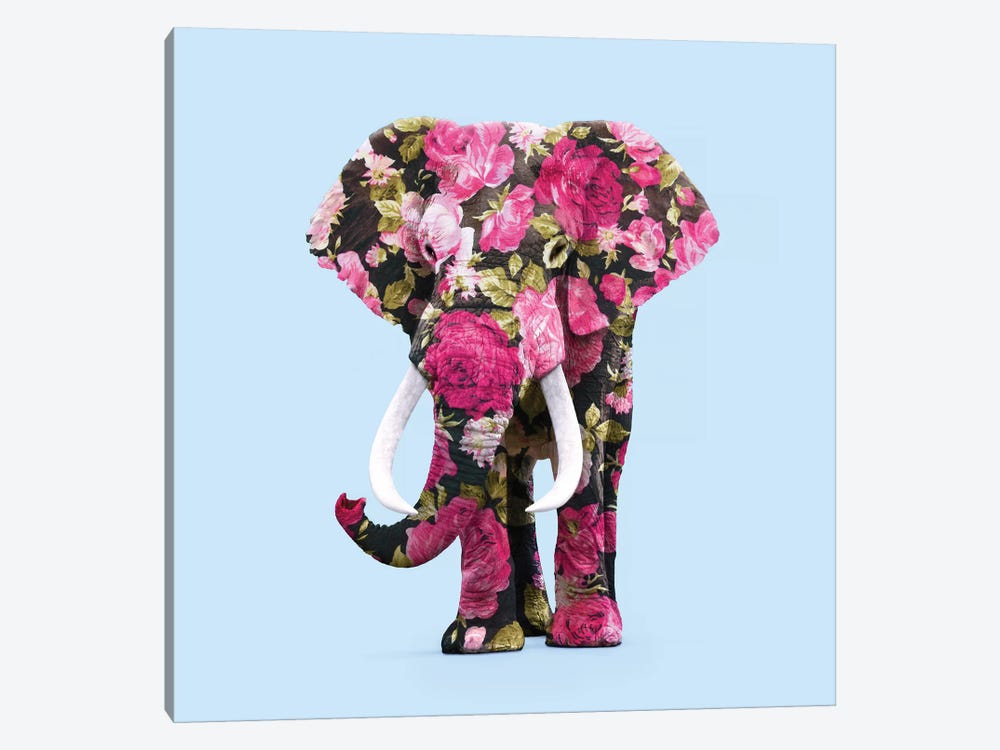 Floral Elephant by Paul Fuentes 1-piece Canvas Art Print