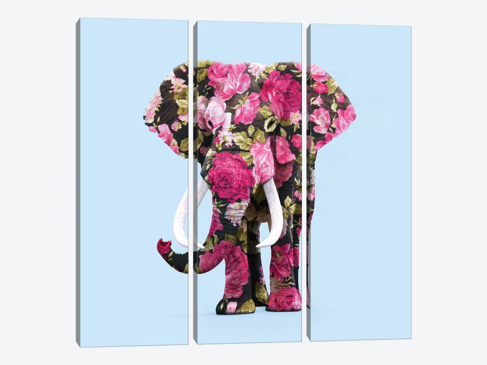 Floral Elephant by Paul Fuentes 3-piece Canvas Print