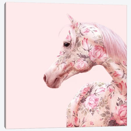 Floral Horse Canvas Print #PFU14} by Paul Fuentes Canvas Wall Art