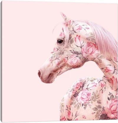 Floral Horse Canvas Art Print - Shabby Chic Décor