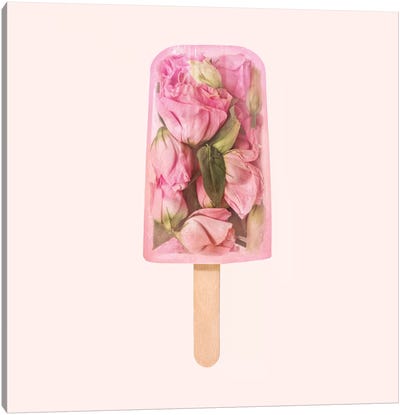 Floral Popsicle Canvas Art Print - Ice Cream & Popsicles