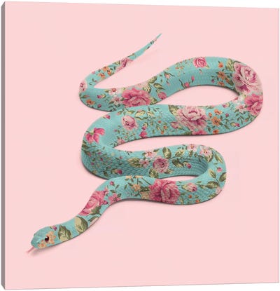 Floral Snake Canvas Art Print - Snake Art