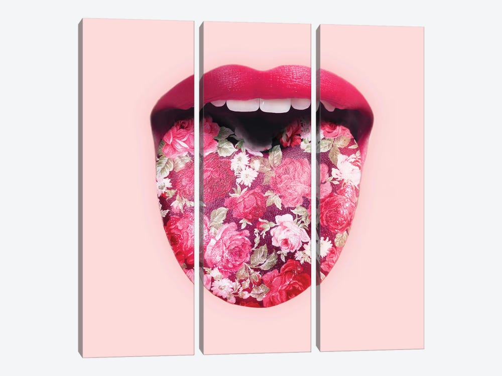 Floral Tongue by Paul Fuentes 3-piece Canvas Wall Art