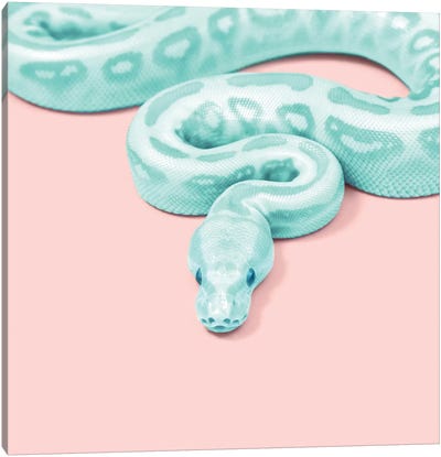 Green Snake Canvas Art Print - Snake Art