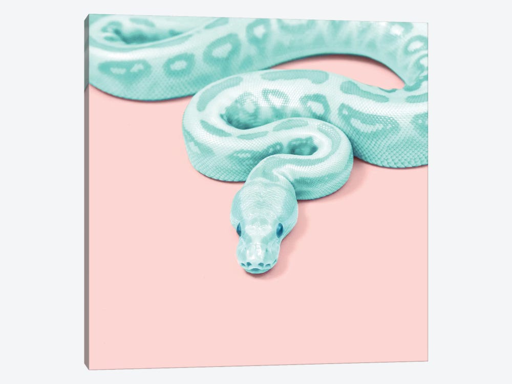 Green Snake by Paul Fuentes 1-piece Canvas Print