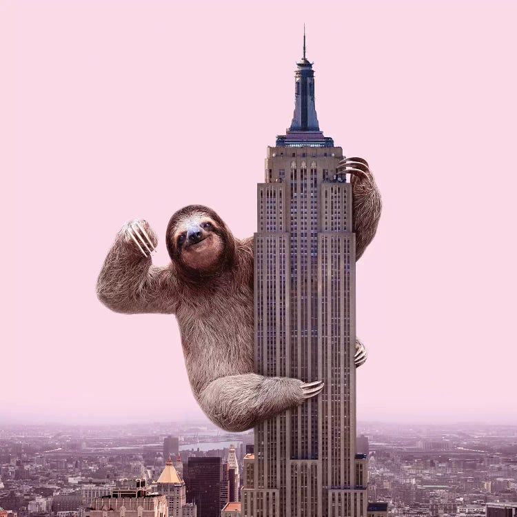 King Sloth