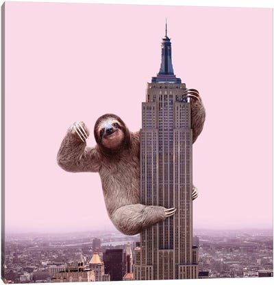King Sloth Canvas Art Print - Empire State Building
