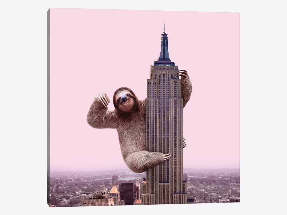 King Sloth by Paul Fuentes 1-piece Canvas Wall Art