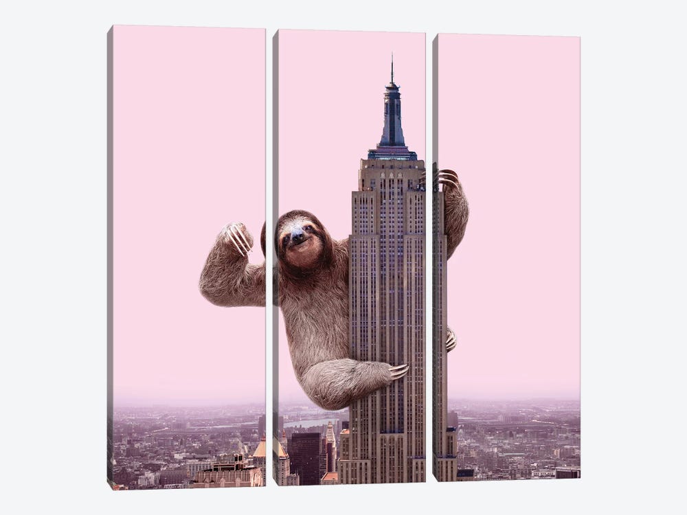 King Sloth by Paul Fuentes 3-piece Canvas Wall Art