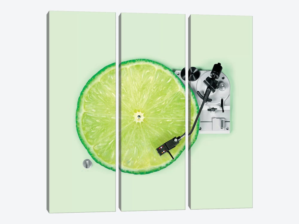 Lemon DJ by Paul Fuentes 3-piece Canvas Print