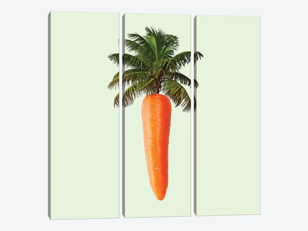 Palm Carrot by Paul Fuentes 3-piece Canvas Art