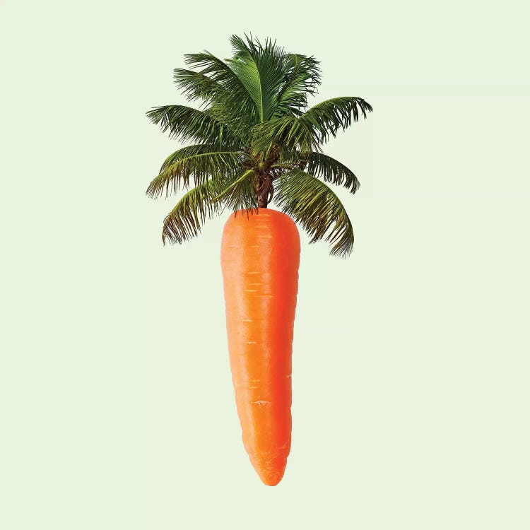 Palm Carrot by Paul Fuentes wall art