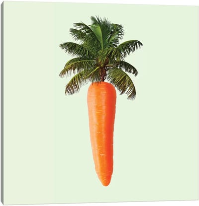 Palm Carrot Canvas Art Print - Vegetable Art
