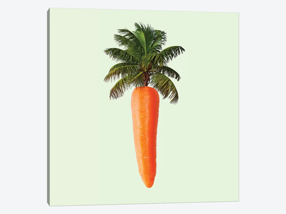 Palm Carrot by Paul Fuentes 1-piece Canvas Wall Art