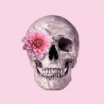Pink Skull Art Print by Paul Fuentes iCanvas
