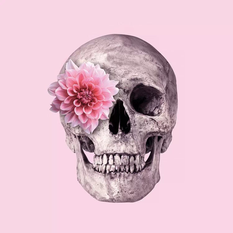 Pink Skull by Paul Fuentes wall art