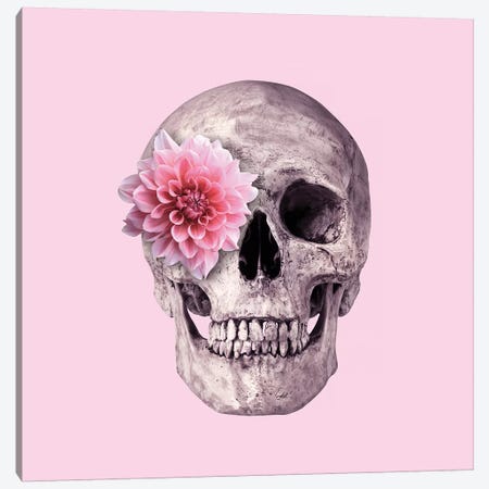 Pink Skull Canvas Print #PFU43} by Paul Fuentes Canvas Wall Art