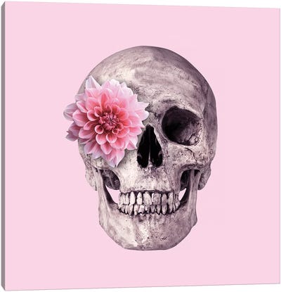 Pink Skull Canvas Art Print - Dahlias