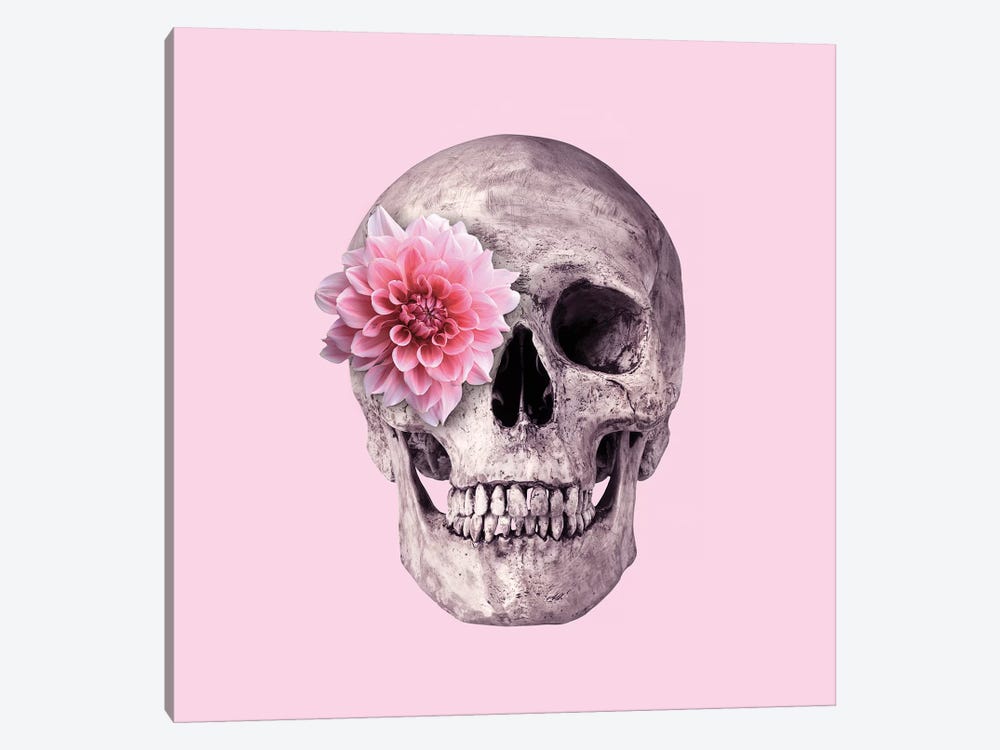 Pink Skull by Paul Fuentes 1-piece Canvas Wall Art