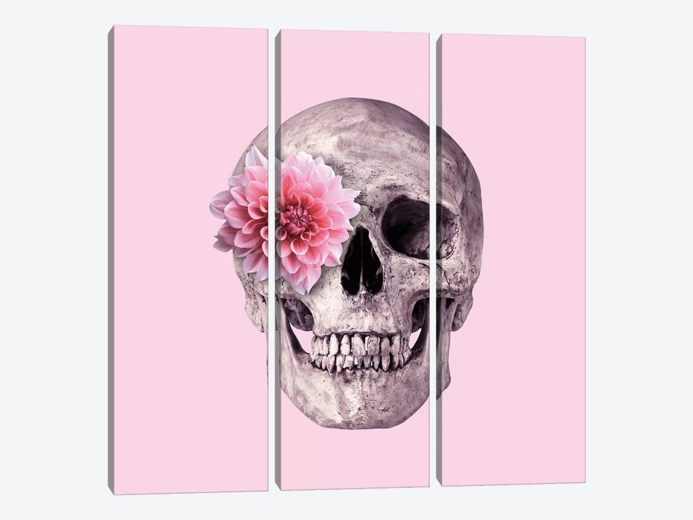 Pink Skull by Paul Fuentes 3-piece Canvas Artwork