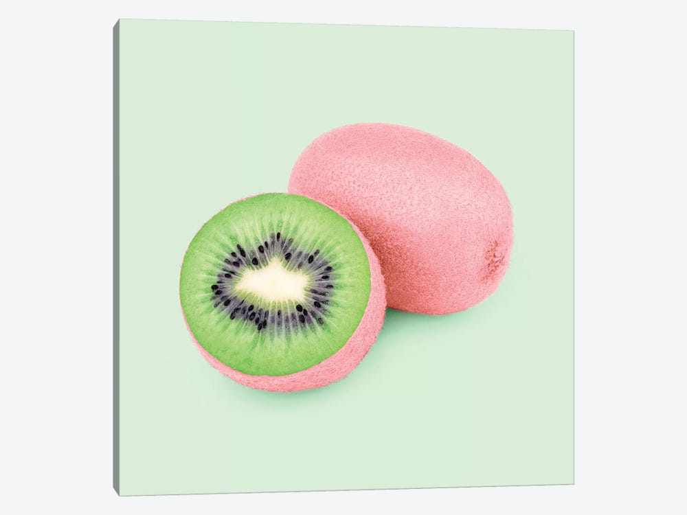 Pinkiwi by Paul Fuentes 1-piece Canvas Art