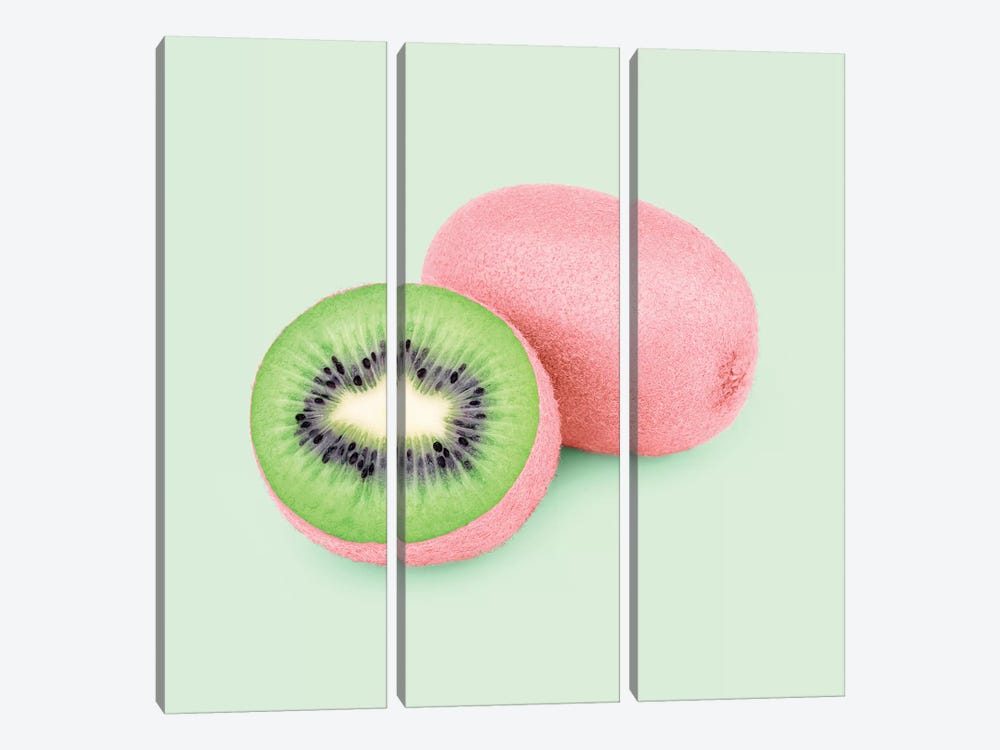 Pinkiwi by Paul Fuentes 3-piece Canvas Art