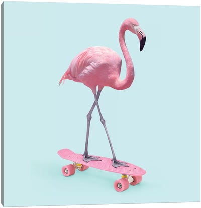 Skate Flamingo Canvas Art Print - Animal Humor Art