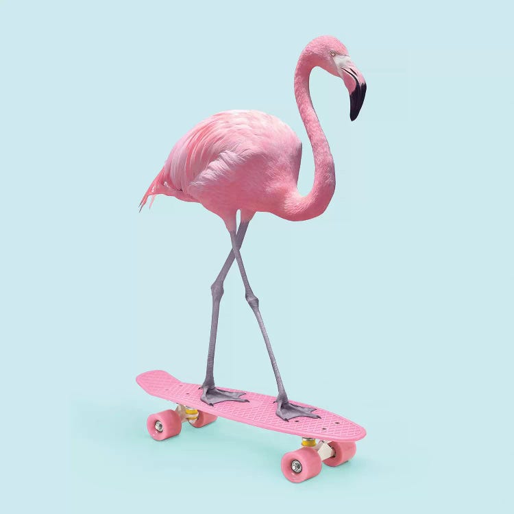 Skate Flamingo