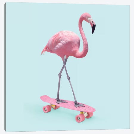 Skate Flamingo Canvas Print #PFU48} by Paul Fuentes Canvas Art