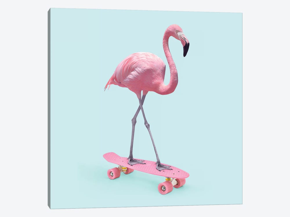 Skate Flamingo by Paul Fuentes 1-piece Canvas Art Print