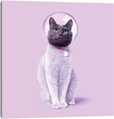 Space Cat Canvas Art Print - Animal & Pet Photography