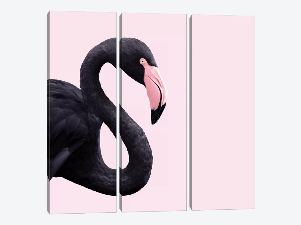 Black Flamingo by Paul Fuentes 3-piece Canvas Wall Art
