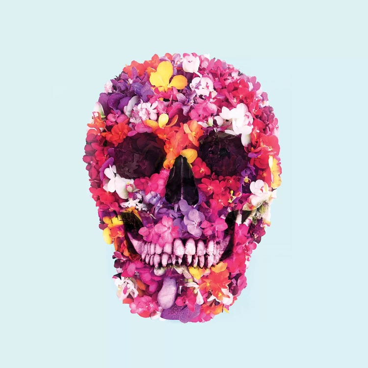 Spring Skull