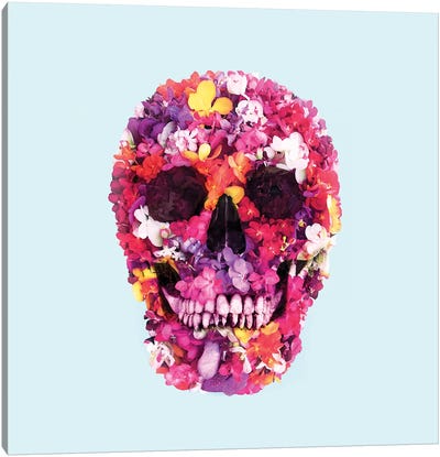 Spring Skull Canvas Art Print - Paul Fuentes