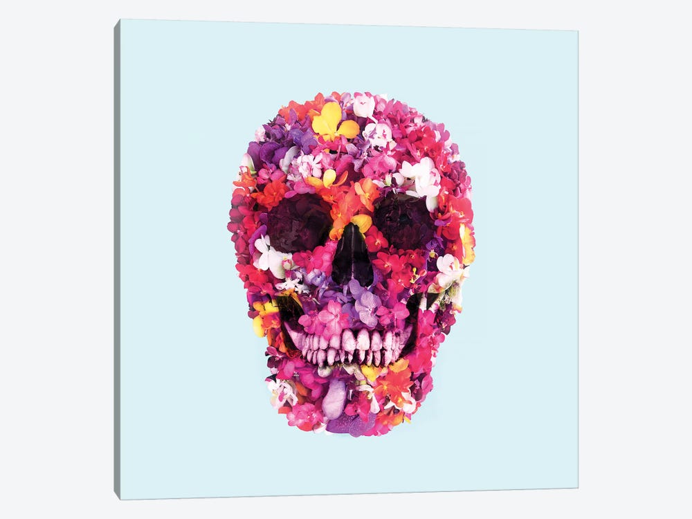 Spring Skull by Paul Fuentes 1-piece Canvas Wall Art