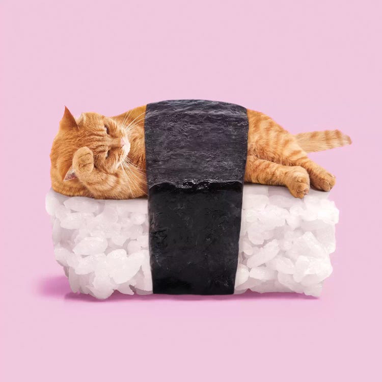 Sushi Cat by Paul Fuentes wall art