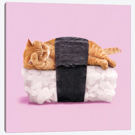 Sushi Cat Canvas Print #PFU52} by Paul Fuentes Canvas Print