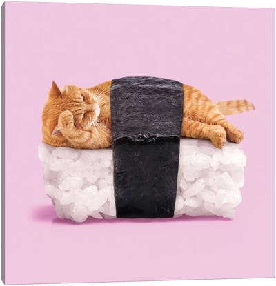 Sushi Cat Canvas Art Print - Tabby Cat Art