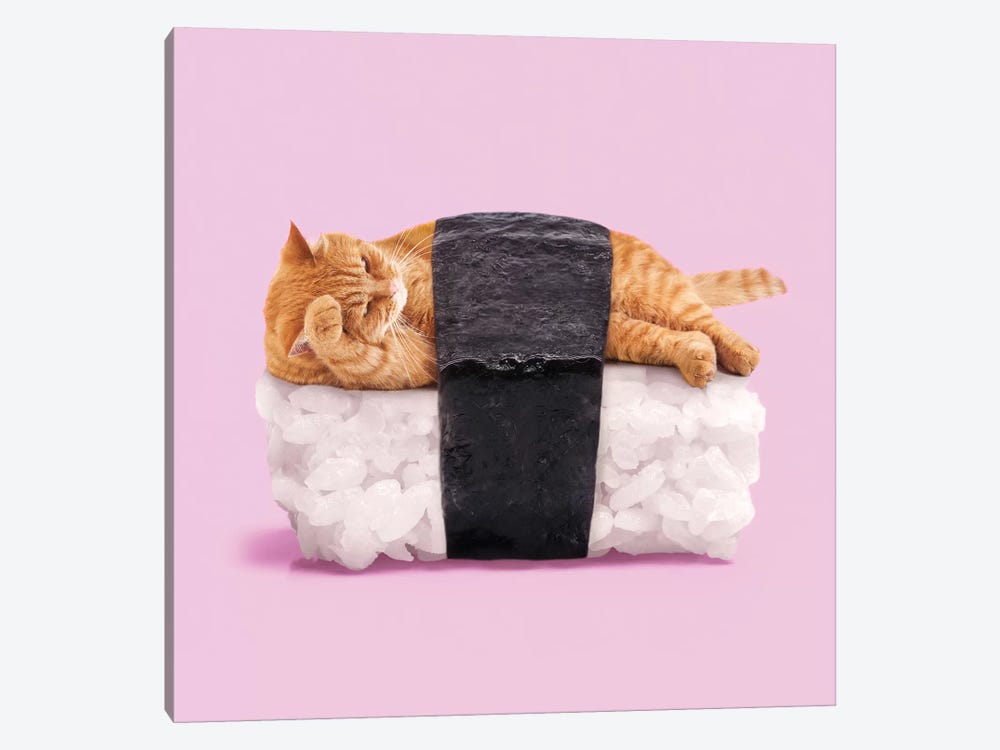 Sushi Cat by Paul Fuentes 1-piece Canvas Wall Art